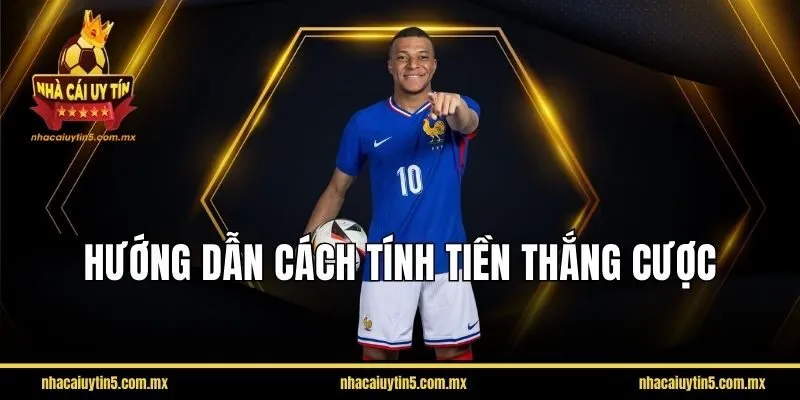 Hướng dẫn cách tính tiền thắng cược kèo châu Âu chi tiết